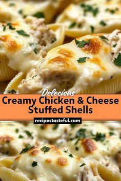 creamy chicken and cheese stuffed shells