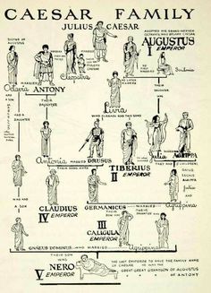 an ancient family tree is shown in black and white