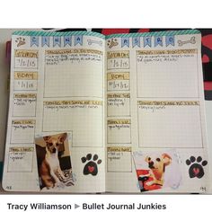 Another great idea for a pet spread in my bujo! Pet Planner, Dog Tracker, Bullet Journal Key, Diy Photo Book, Pet Tracker, Journal Bullet, Bullet Journal Ideas, Dot Journals, Bullet Journal Themes