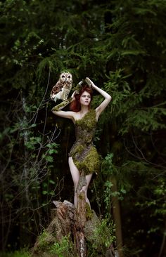 a woman with an owl on her shoulder standing on a tree stump in the woods