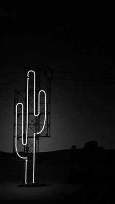 a neon cactus sign in the middle of nowhere