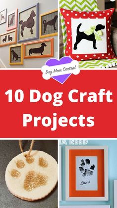 the top ten dog craft projects