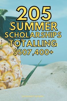 a pineapple sitting in the sand with text overlay that reads, 205 summer scholarships