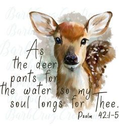 a deer with the words as the deer pants for the water so my soul sings for thee