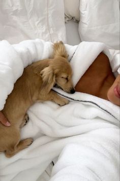 a woman laying in bed with her dog