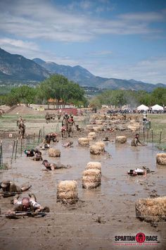 many people are in the mud with some sheep