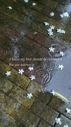 a puddle with white flowers floating on it and a poem written in the water next to it