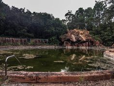 a pond in the middle of a forest filled with lots of water and rocks on top of it