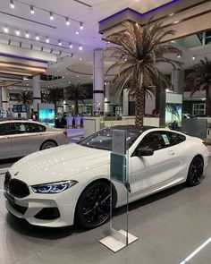 a white car is on display in a showroom with palm trees and other vehicles