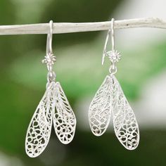 Dragonfly wings are recreated in delicate filigree to create these special dangle earrings. Eva Souto in Mexico crafts the earrings from gleaming sterling silver. Mexico Crafts, Dragonfly Wings, Filigree Earrings, Sterling Silver Filigree, Delicate Earrings, Silver Filigree, Premium Quality, Dangle Earrings, 925 Sterling Silver