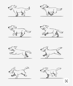 the dog is running and jumping in different positions, including one with his head down