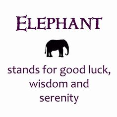 an elephant stands for good luck, wisdom and serenity