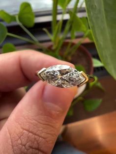 someone is holding an old - fashioned diamond ring in front of a potted plant