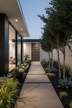 the walkway is lined with plants and trees in front of this modern home at night