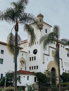 a large white building with palm trees in front