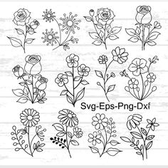 six different flowers and leaves drawn in black ink on a white wooden background with the words sv