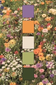 a field full of different colored flowers with squares in the middle and one square at the bottom