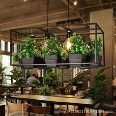 a restaurant with plants hanging from the ceiling