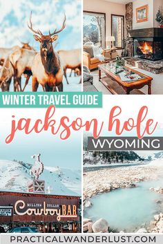 winter travel guide for jackson hole wyoming with pictures of the lodge, hot springs and elk