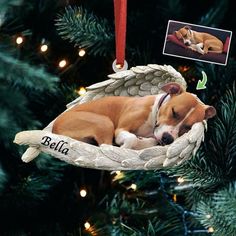 a brown and white dog sleeping in a christmas ornament hanging from a tree