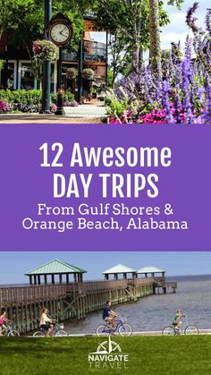 some people riding bikes on the beach and in front of purple flowers with text overlay that reads, 12 awesome day trips from gulf shores & orange beach, alabama