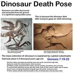 a poster with some pictures of dinosaurs in it