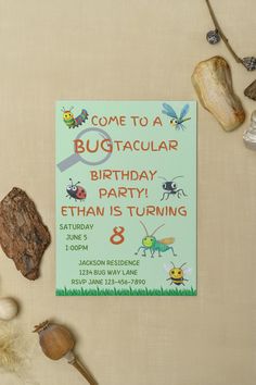 a bug birthday party is set up on a table with rocks, shells and other items