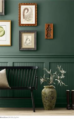 a green wall with pictures on it and a bench in the foreground, next to a potted plant