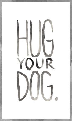 the words hug your dog written in black ink on a white paper with a grungy background