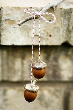 two acorns hanging from a tree branch with twine and glittered string