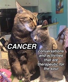 Moody, caring and unpredictable, what are Cancerians actually thinking? These funny Cancer memes will prove that they are more than crybabies. The Untold Truth, Virgo Memes, Zodiac Birthdays, Zodiac Signs Funny, Zodiac Memes, Zodiac Signs Astrology