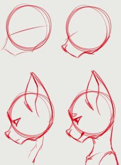 how to draw a cartoon cat head with different angles and shapes, step by step