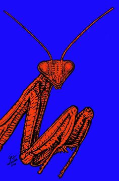 a drawing of a praying mantissa on a blue background