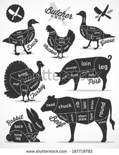 the cuts of meat in different shapes and sizes, including chicken, pork, duck, pig