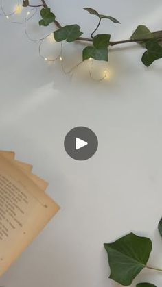 an open book on a table with ivy and lights