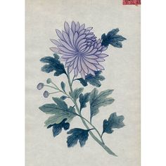 a drawing of a purple flower with green leaves