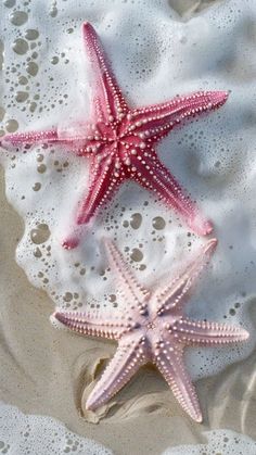 two pink starfishs are laying on the sand near some white water and bubbles