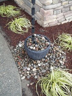 a potted plant sitting on top of a pile of rocks next to a fire hydrant