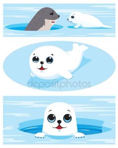 two polar bears and a seal in the water