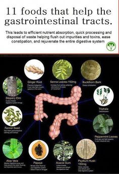 Healthy Colon, Colon Health, Food Facts, Organic Farming, Health Info, Back To Nature, Natural Medicine, Base Foods, Digestive Health