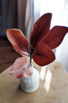 a red plant in a white vase on a table