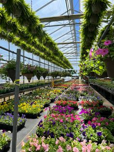 an indoor greenhouse filled with lots of flowers