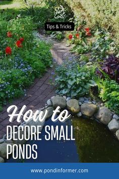 a small pond surrounded by flowers and plants with the words how to decorate small pools