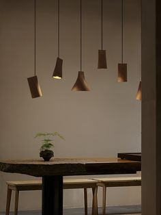 a dining room table with several lights hanging from it's sides and a potted plant in the middle