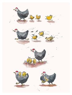 an illustration of chickens and chicks walking together