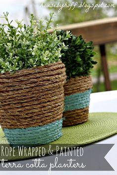 two potted plants sitting on top of a green place mat next to each other