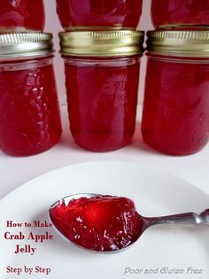 a spoon full of cranberry jelly sits on a plate with jars in the background