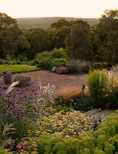 a garden with lots of flowers and rocks on the ground in front of some trees