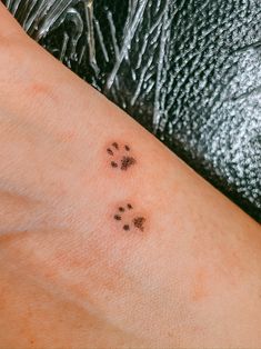 small paw prints on the left side of the arm and foot, which are black in color