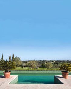 an empty swimming pool surrounded by plants and trees